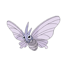 venomoth