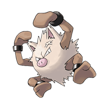 primeape