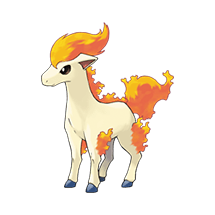 ponyta