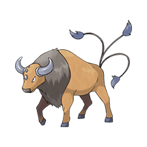 tauros